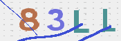 Obrazek CAPTCHA